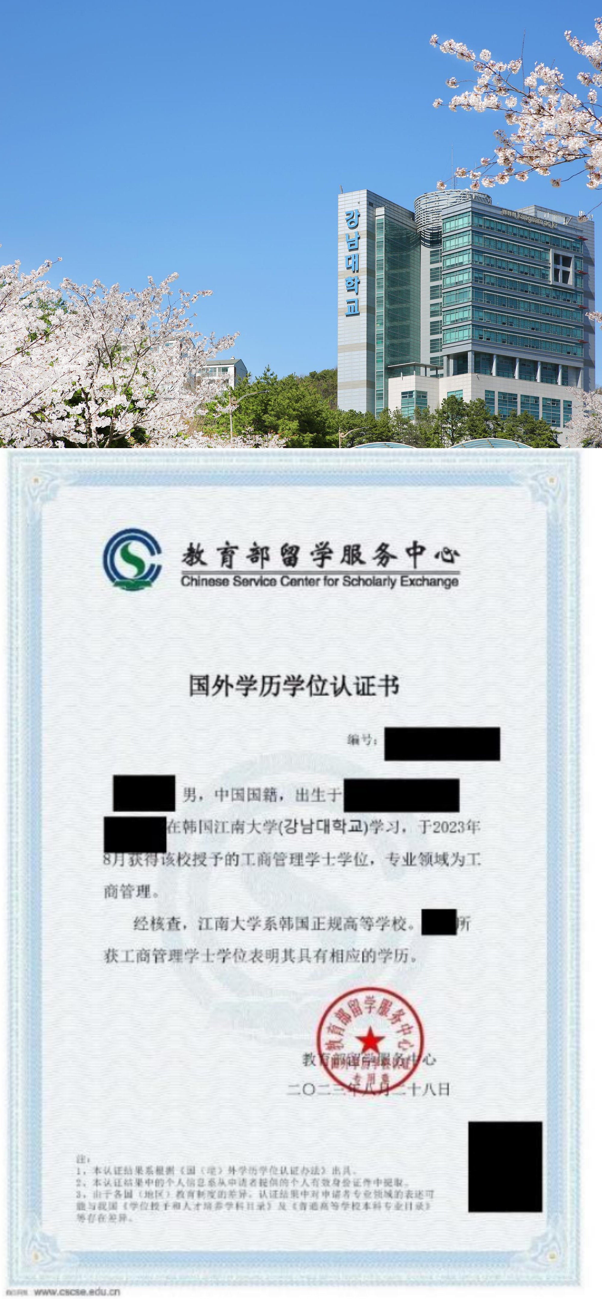 61号栏目标题